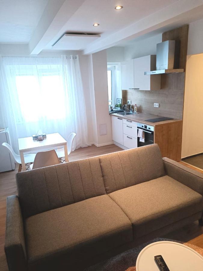 Zoo Karlovarská Apartment Plzeň Esterno foto
